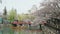 Tourists take a boat tour of Himeji castle during cherry blossom season in Himeji, Japan.