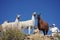 Tourists take pictures of Lamas of in the vast Altiplano