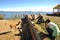 Tourists take pictures of the vicuna on the shores of lake Titicaca.