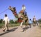 Tourists taking a camel ride