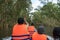 Tourists taking photo of cajuput forest in floating water season from tourism boat in Mekong Delta, Can Tho, Vietnam