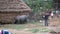 Tourists Taking Selfies With a Rhino