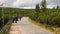 Tourists on the trail in the Karkonosze Mountains, Sniezka summit 1603 m n.p.m., Poland, Karkonosze National Park.