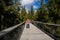 Tourists at The Treetop Walkway discovering the beauty of the Sumava National Park, Lipno nad Vltavou, South Bohemia, Czech