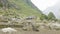 Tourists on the trek around mountain Manaslu, near village Prok, Nepal.