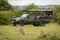 Tourists in truck watch cheetah on grass