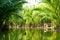 Tourists visit water coconut forest in Hoi An.