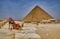 Tourists visiting the Giza Plateau