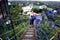 Tourists and visitors climb to the top of the 360 degree viewing deck using the hanging bridge