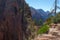 Tourists and visitors of the Zion National Park