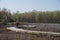 Tourists Walk on Boardwalk at Huntley Meadows