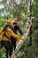 Tourists walk on the rope bridge walkway through the treetops in