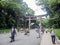 Tourists walk at the way path to Meiji shrine, Tokyo, Japan