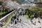 Tourists walking along disused railways under beautiful cherry blossom trees  Sakura  on a bright sunny day