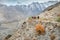 Tourists walking along the hiking path in Passu. Gilgit Baltistan, Pakistan