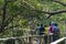 Tourists walking on the elevated wooden walkway along the Sundarbans, The largest mangrove forest of the world