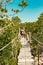 Tourists walking on the Mangrove boardwalk in Mida Creek in Watamu, Kilifi County in Kenya