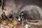 Tourists walking within path inside Wind Cave, Mulu National Par