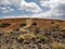 Tourists walking a path in volcanic terrain in the Teide National Park in Tenerife