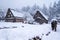 Tourists walking and sightseeing in Shirakawago, world heritage