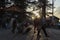 Tourists walking at street of Shimla town with sun flare during sunset.