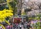 Tourists walking through the torii gates of Hanazono Inari Shrine in Ueno park.