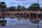 Tourists watch sunrise at Angkor Wat