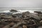 Tourists Watch Waves of Pemaquid Head Maine