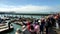 Tourists watching sea lions on the famous touristic place Pier 39
