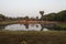 Tourists watching sunrise, Angkor Wat temple