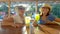 Tourists Women Having Fun In The Bar Of A Lodge In The Ecuadorian Amazon