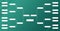 Tournament grid. Play-off grid, tournament bracket. Modern green bracket. Regular season and final game. Sports bracket. Tournamen