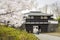 Toursits enter the Komoro castle ruins park gate in Spring Sakura cherry blossom season