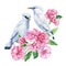 Tow white birds on blooming branch, sakura flowers, spring watercolor illustration, hand drawn