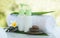 Towel, flowers, green leaves and cosmetics