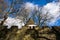 Tower behind fortification wall, sunny autumn day, Tabor, Czech Republic