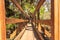 Tower, bridge, and Bird watching walkway boardwalk