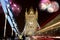 Tower Bridge with firework, London