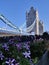 tower bridge, flowers, morning time, summer, sunny day, blue sky