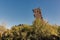 The tower of the Castle of Vernazzano, Tuoro-Umbria