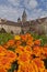 Tower of cluny abbey behind flowers