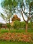 Tower and corner of the Forbidden City in Beijing, nature and colours