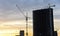Tower cranes and building silhouette at construction site on  sunset background. Concept of the renovation program