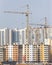 Tower cranes construction city buildings