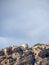 Tower and fortress of the coastline in the Balearic Islands