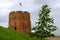 Tower of Gediminas, symbol of Vilnius. Summer