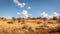 A tower of giraffes  Giraffa Camelopardalis walking in the savanna, Kalahari desert, Namibia.