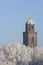 The tower of the Great Church in the city of Deventer, the Netherlands, towering above snow covered trees