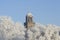 The tower of the Great Church in the city of Deventer, the Netherlands, towering above snow covered trees