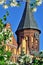 Tower Konigsberg Cathedral and Jasmine. Symbol of Kaliningrad, f